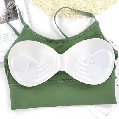Seamless Padded Bra Pack of 2